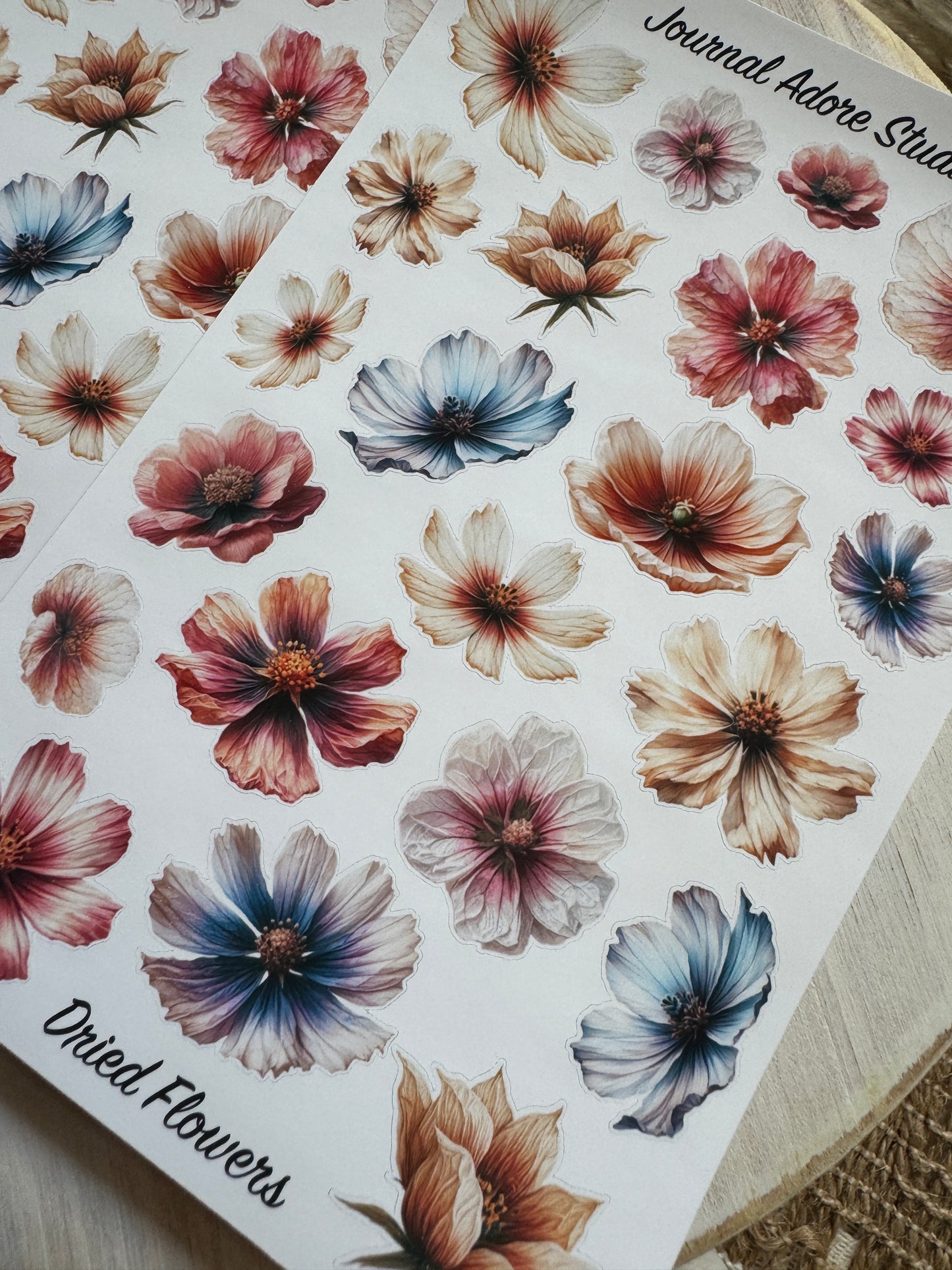 Dried Flowers Sticker Sheet