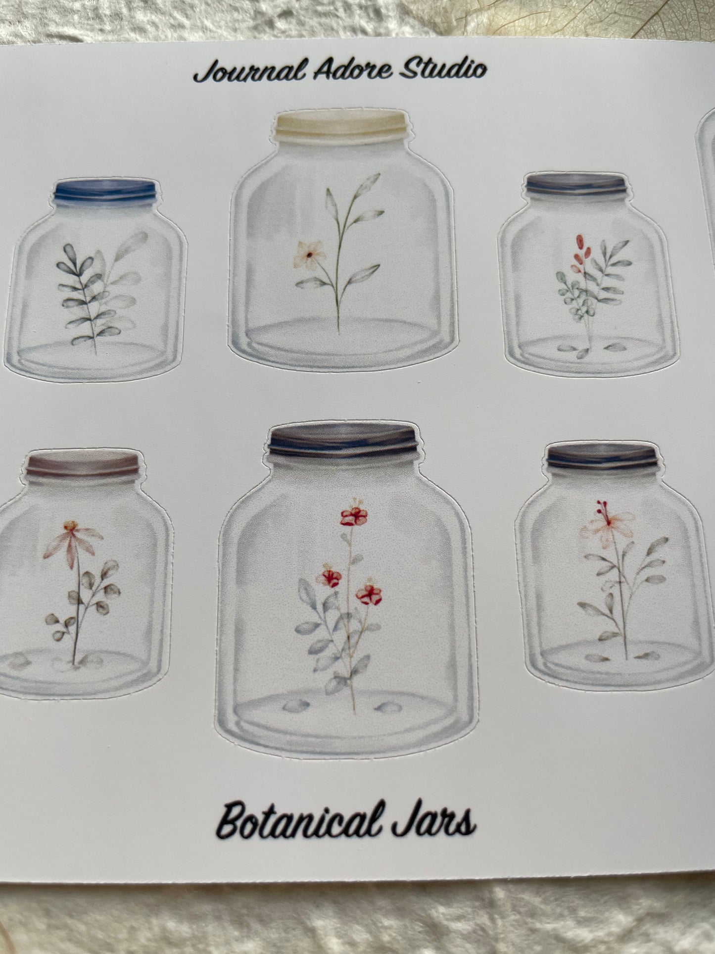 Botanical Jars Sticker Sheet