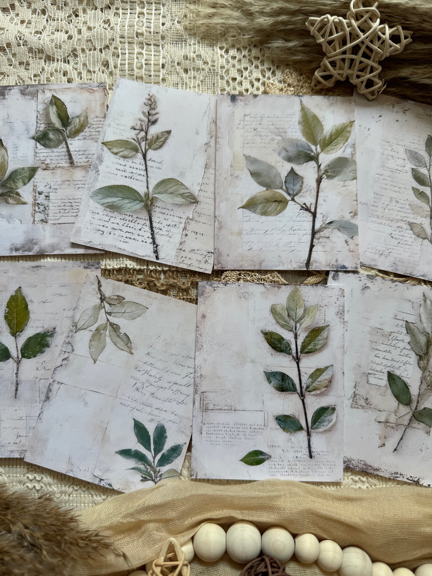 Botanical Papers