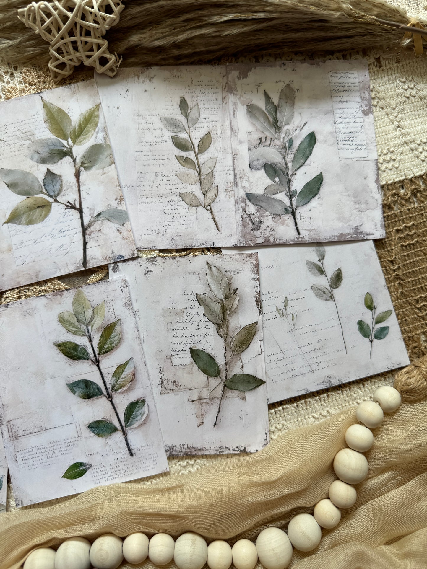 Botanical Papers