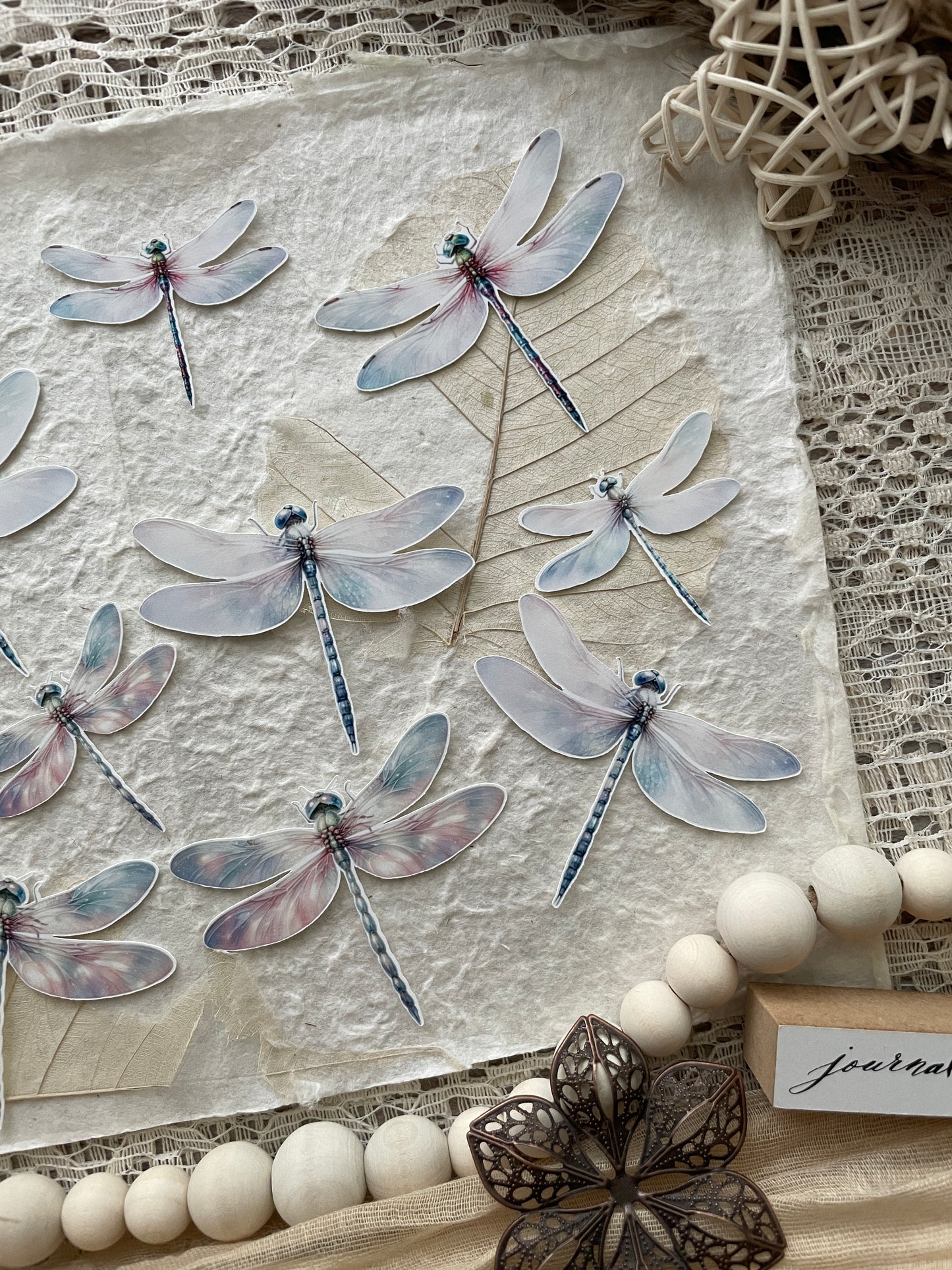 Dragonfly Ephemera