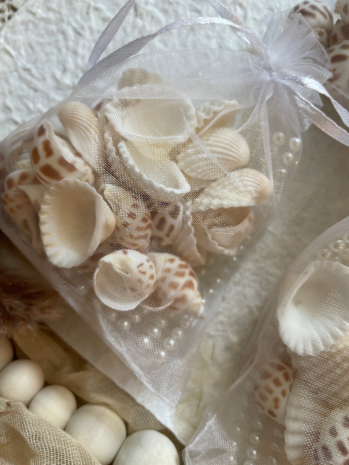 Shells & Pearl Stickers